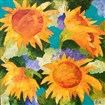 Sunflowers, 70x70, 2014